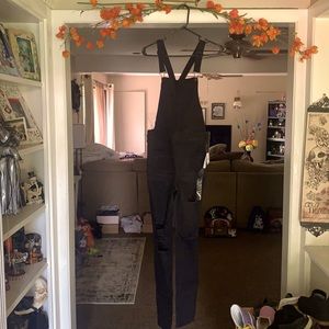 American eagle overall distressed jegging